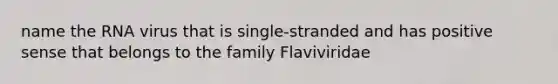 name the RNA virus that is single-stranded and has positive sense that belongs to the family Flaviviridae