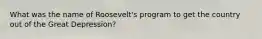 What was the name of Roosevelt's program to get the country out of the Great Depression?