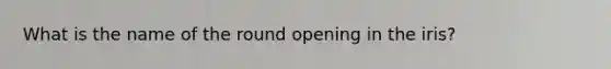 What is the name of the round opening in the iris?