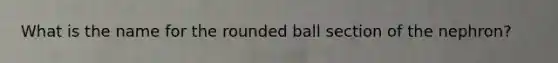 What is the name for the rounded ball section of the nephron?