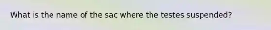 What is the name of the sac where the testes suspended?