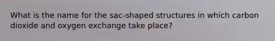 What is the name for the sac-shaped structures in which carbon dioxide and oxygen exchange take place?