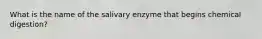 What is the name of the salivary enzyme that begins chemical digestion?