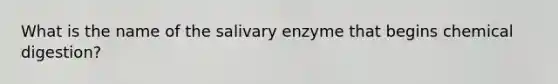 What is the name of the salivary enzyme that begins chemical digestion?