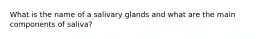 What is the name of a salivary glands and what are the main components of saliva?