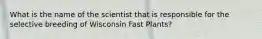 What is the name of the scientist that is responsible for the selective breeding of Wisconsin Fast Plants?