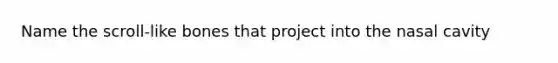 Name the scroll-like bones that project into the nasal cavity