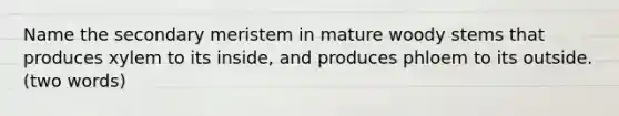Name the secondary meristem in mature woody stems that produces xylem to its inside, and produces phloem to its outside. (two words)