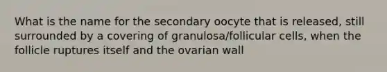 What is the name for the secondary oocyte that is released, still surrounded by a covering of granulosa/follicular cells, when the follicle ruptures itself and the ovarian wall