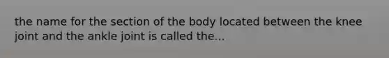 the name for the section of the body located between the knee joint and the ankle joint is called the...