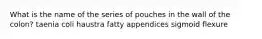 What is the name of the series of pouches in the wall of the colon? taenia coli haustra fatty appendices sigmoid flexure