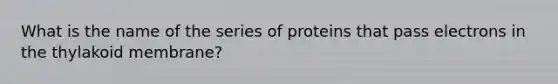 What is the name of the series of proteins that pass electrons in the thylakoid membrane?