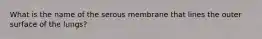 What is the name of the serous membrane that lines the outer surface of the lungs?