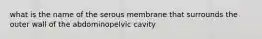 what is the name of the serous membrane that surrounds the outer wall of the abdominopelvic cavity