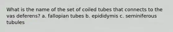 What is the name of the set of coiled tubes that connects to the vas deferens? a. fallopian tubes b. epididymis c. seminiferous tubules