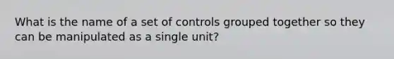 What is the name of a set of controls grouped together so they can be manipulated as a single unit?