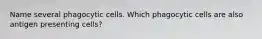 Name several phagocytic cells. Which phagocytic cells are also antigen presenting cells?