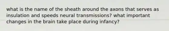 what is the name of the sheath around the axons that serves as insulation and speeds neural transmissions? what important changes in the brain take place during infancy?