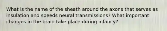 What is the name of the sheath around the axons that serves as insulation and speeds <a href='https://www.questionai.com/knowledge/k5eO8RxNoD-neural-transmission' class='anchor-knowledge'>neural transmission</a>s? What important changes in <a href='https://www.questionai.com/knowledge/kLMtJeqKp6-the-brain' class='anchor-knowledge'>the brain</a> take place during infancy?