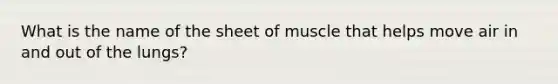 What is the name of the sheet of muscle that helps move air in and out of the lungs?