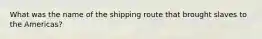 What was the name of the shipping route that brought slaves to the Americas?