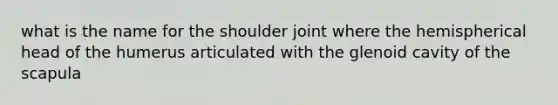 what is the name for the shoulder joint where the hemispherical head of the humerus articulated with the glenoid cavity of the scapula