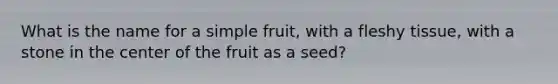 What is the name for a simple fruit, with a fleshy tissue, with a stone in the center of the fruit as a seed?