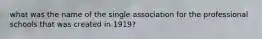 what was the name of the single association for the professional schools that was created in 1919?