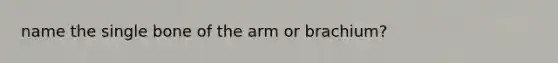 name the single bone of the arm or brachium?