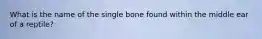 What is the name of the single bone found within the middle ear of a reptile?