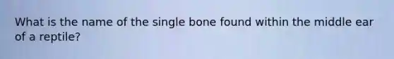 What is the name of the single bone found within the middle ear of a reptile?