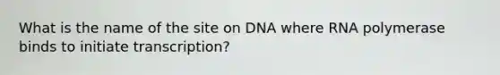 What is the name of the site on DNA where RNA polymerase binds to initiate transcription?