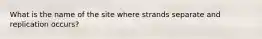 What is the name of the site where strands separate and replication occurs?