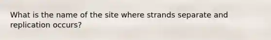 What is the name of the site where strands separate and replication occurs?