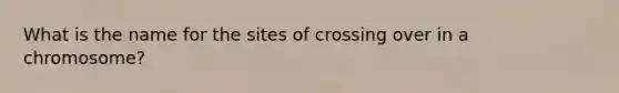 What is the name for the sites of crossing over in a chromosome?