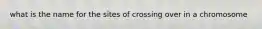 what is the name for the sites of crossing over in a chromosome