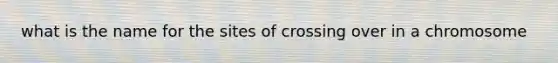 what is the name for the sites of crossing over in a chromosome