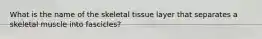 What is the name of the skeletal tissue layer that separates a skeletal muscle into fascicles?