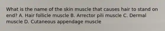 What is the name of the skin muscle that causes hair to stand on end? A. Hair follicle muscle B. Arrector pili muscle C. Dermal muscle D. Cutaneous appendage muscle