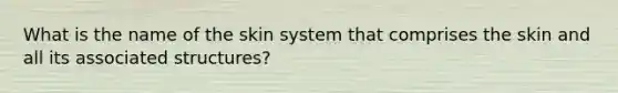 What is the name of the skin system that comprises the skin and all its associated structures?