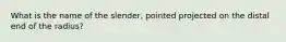 What is the name of the slender, pointed projected on the distal end of the radius?