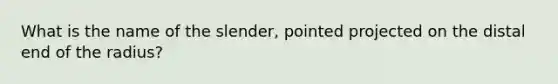 What is the name of the slender, pointed projected on the distal end of the radius?