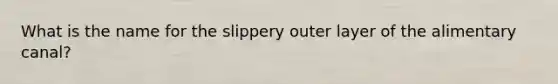 What is the name for the slippery outer layer of the alimentary canal?