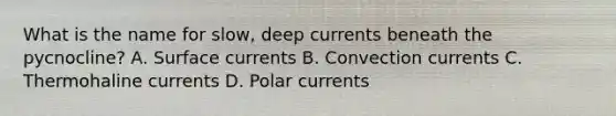 What is the name for slow, deep currents beneath the pycnocline? A. Surface currents B. Convection currents C. Thermohaline currents D. Polar currents