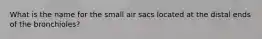 What is the name for the small air sacs located at the distal ends of the bronchioles?
