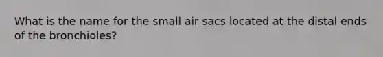 What is the name for the small air sacs located at the distal ends of the bronchioles?