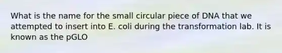 What is the name for the small circular piece of DNA that we attempted to insert into E. coli during the transformation lab. It is known as the pGLO