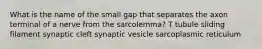 What is the name of the small gap that separates the axon terminal of a nerve from the sarcolemma? T tubule sliding filament synaptic cleft synaptic vesicle sarcoplasmic reticulum