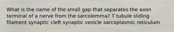 What is the name of the small gap that separates the axon terminal of a nerve from the sarcolemma? T tubule sliding filament synaptic cleft synaptic vesicle sarcoplasmic reticulum