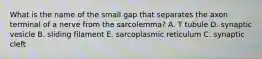 What is the name of the small gap that separates the axon terminal of a nerve from the sarcolemma? A. T tubule D. synaptic vesicle B. sliding filament E. sarcoplasmic reticulum C. synaptic cleft